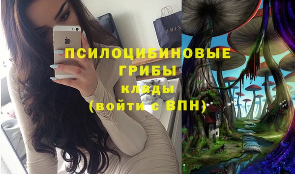 бошки Балахна