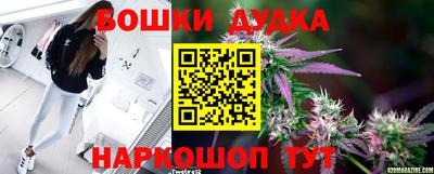 эйфоретик Абакан