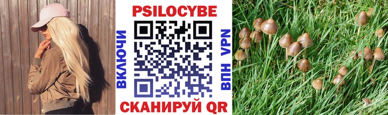 Псилоцибиновые грибы ЛСД  купить  сайты  Богородицк 