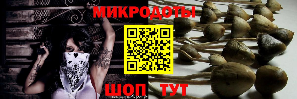 Богородицк  Псилоцибиновые грибы Psilocybe  Псилоцибиновые грибы Psilocybe  Вход с VPN 