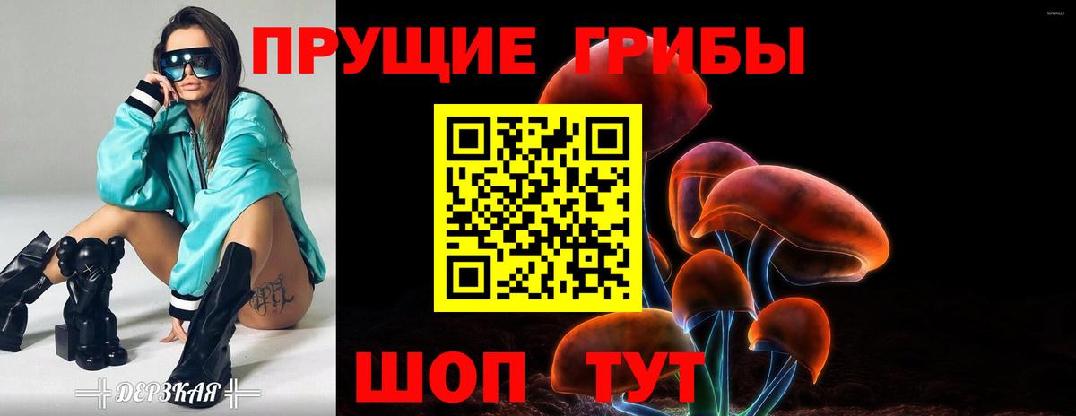 Псилоцибиновые грибы мицелий  Богородицк 