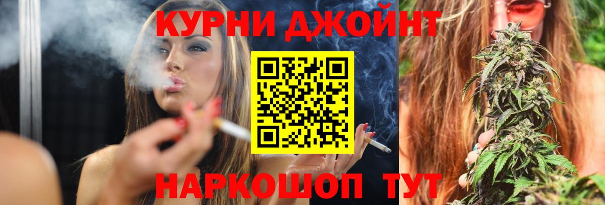 Марихуана сатива  Богородицк  Каннабис сатива  МАРИХУАНА планчик 